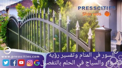 السور في المنام وتفسير رؤية الأسوار والسياج في الحلم بالتفصيل