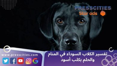 تفسير الكلاب السوداء في المنام والحلم بكلب أسود